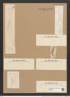 Cystopleura gibberula var. protracta Grun. (de-Toni-Nr.: Genus 103, Species 3129) Zeichnungen Sammlung Grunow Nr. 6422 (NHMW-BOT-W0375102)